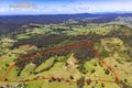 Property photo of 99 Whip Mountain Road Yarranbella NSW 2447