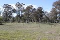 Property photo of 88 Red Hill Road Bowning NSW 2582