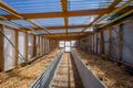 Property photo of 16 Spring Creek Road Strathbogie VIC 3666