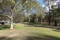 Property photo of 816 Princes Highway Mogo NSW 2536