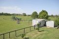 Property photo of 11 Clarence Street Brushgrove NSW 2460