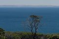 Property photo of 20 Shearwater Drive Mount Martha VIC 3934