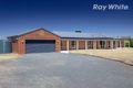 Property photo of 31 Lobbe Road Thurgoona NSW 2640