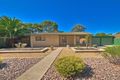 Property photo of 11 Lobelia Drive Parafield Gardens SA 5107