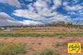 Property photo of 29 Millman Road Spring Farm NSW 2570