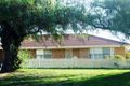 Property photo of 1/101 Sutton Street Echuca VIC 3564
