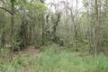 Property photo of 1901 Mount Gravatt-Capalaba Road Chandler QLD 4155