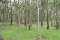 Property photo of 1901 Mount Gravatt-Capalaba Road Chandler QLD 4155