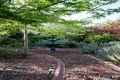 Property photo of 6 Booth Crescent Cook ACT 2614