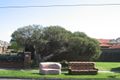 Property photo of 7/15-19 Graham Road Highett VIC 3190