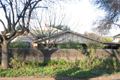 Property photo of 38 Hereford Avenue Trinity Gardens SA 5068