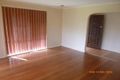 Property photo of 5 Jowett Avenue Sunshine West VIC 3020