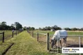 Property photo of 110 Peers Road Dalmore VIC 3981