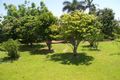 Property photo of 31 Riverside Crescent Innisfail Estate QLD 4860
