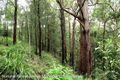 Property photo of 1938 Chichester Dam Road Bandon Grove NSW 2420