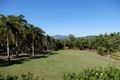 Property photo of 182 Starkeys Road Mount Ossa QLD 4741