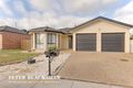 Property photo of 58 Buckingham Street Amaroo ACT 2914