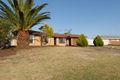 Property photo of 17 Gazelle Place Marangaroo WA 6064
