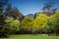 Property photo of 1 Doongalla Road The Basin VIC 3154