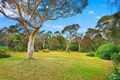 Property photo of 14 Terrace Road Killara NSW 2071