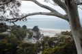 Property photo of 43 Polwarth Road Lorne VIC 3232
