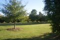 Property photo of 51 Lobbe Road Thurgoona NSW 2640