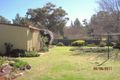 Property photo of 51 Worrigal Street Baradine NSW 2396