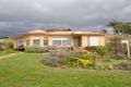 Property photo of 246 Main Road Penguin TAS 7316