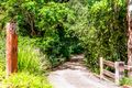 Property photo of 78 Grasstree Road Eumundi QLD 4562