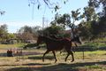 Property photo of 10 Wandoo Road Forrestfield WA 6058