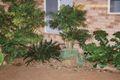 Property photo of 15 Davidson Drive Dubbo NSW 2830
