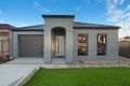 Property photo of 7 Ridgeway Avenue Enfield SA 5085