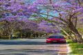 Property photo of 65 Brushwood Circuit Forest Lake QLD 4078