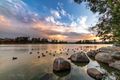 Property photo of 65 Brushwood Circuit Forest Lake QLD 4078