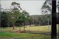 Property photo of 370 Crooks Road Mandalong NSW 2264