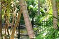 Property photo of 28 The Esplanade Jacobs Well QLD 4208