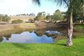 Property photo of 20 Lerra Road Windella NSW 2320