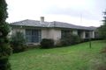 Property photo of 109 Harris Road Elliminyt VIC 3250