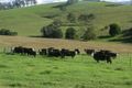 Property photo of 99 Bundook Road Tugrabakh NSW 2422