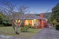 Property photo of 17 Thelma Avenue Boronia VIC 3155