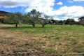 Property photo of 24 Avoca Lane Glenrowan VIC 3675