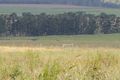 Property photo of 38 Sims Road Walkervale QLD 4670