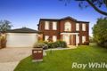 Property photo of 17 Mangrove Court Aspendale Gardens VIC 3195