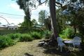 Property photo of 11 Grenache Avenue Modbury SA 5092