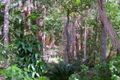 Property photo of 190 Arnolds Road Byfield QLD 4703