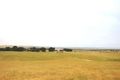 Property photo of 6868 Princes Highway Coorong SA 5264
