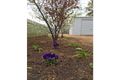 Property photo of 42 Ensign Street Narrogin WA 6312
