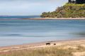 Property photo of 33 Bruce Street Balnarring VIC 3926