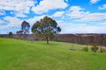 Property photo of 82 Diamond Hill Drive Kurrajong Hills NSW 2758
