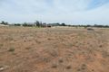 Property photo of 20 Anniversary Drive Robinvale VIC 3549